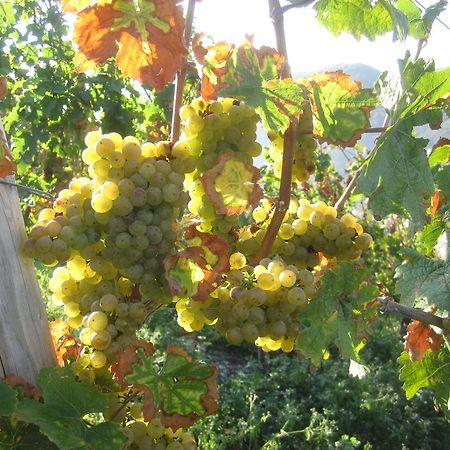 Weinhotel Platz Trewir Zewnętrze zdjęcie